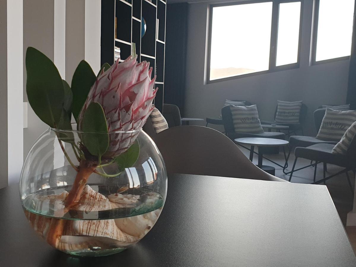 Porto Velho Boutique Hostel Madalena  Zewnętrze zdjęcie